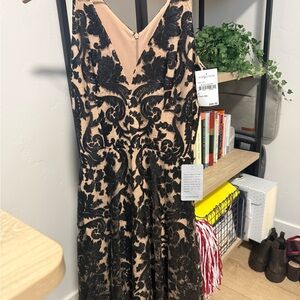 Dress the Population Black and Tan Backless Dress